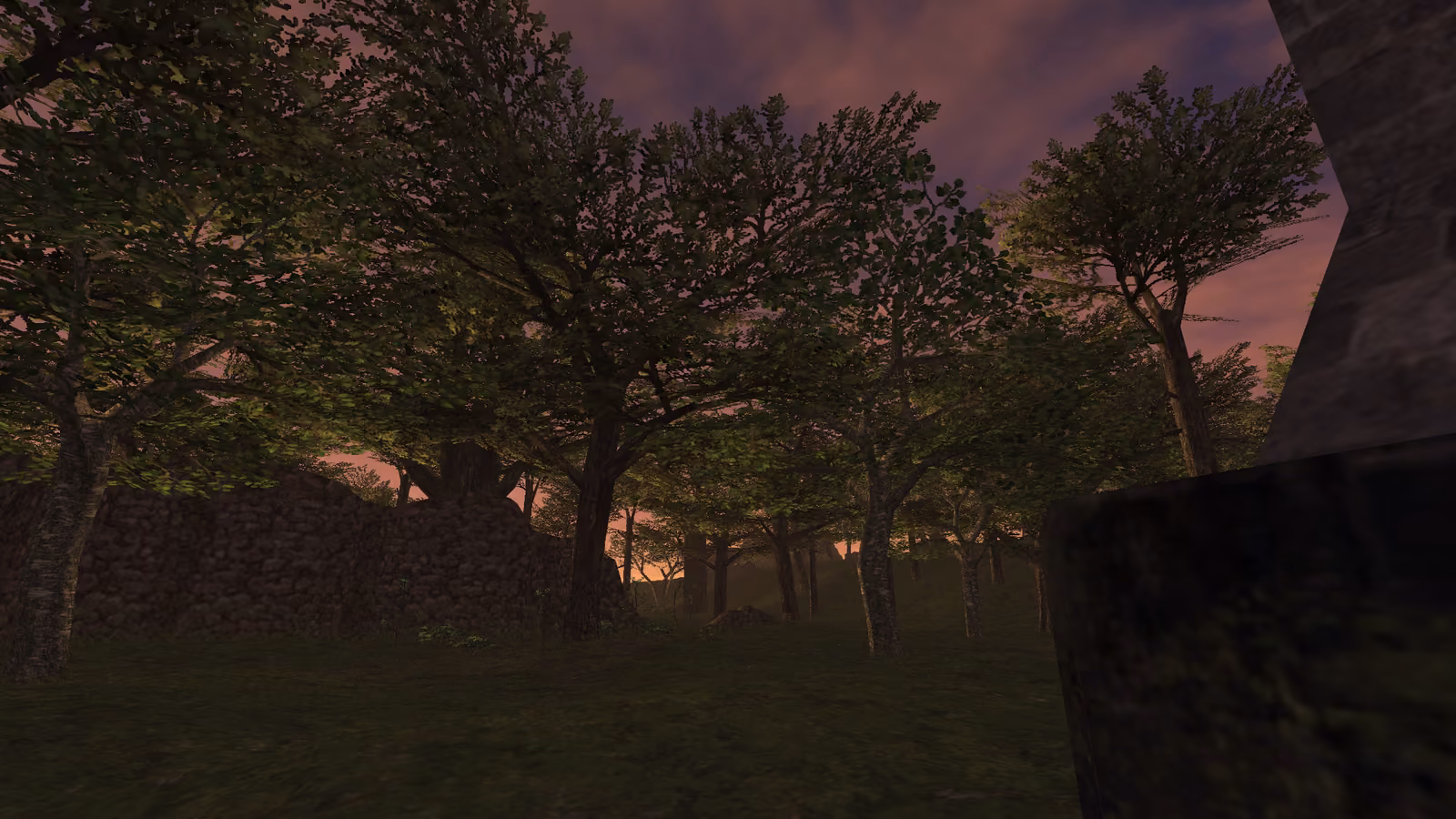 Dusk Forest Near Tower