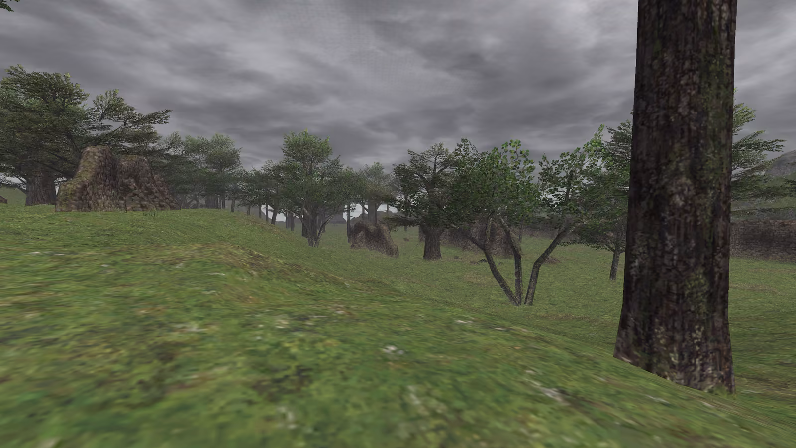 Cloudy Field