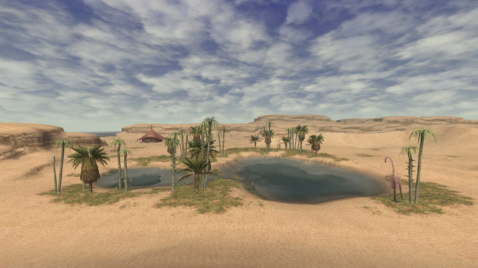 Oasis