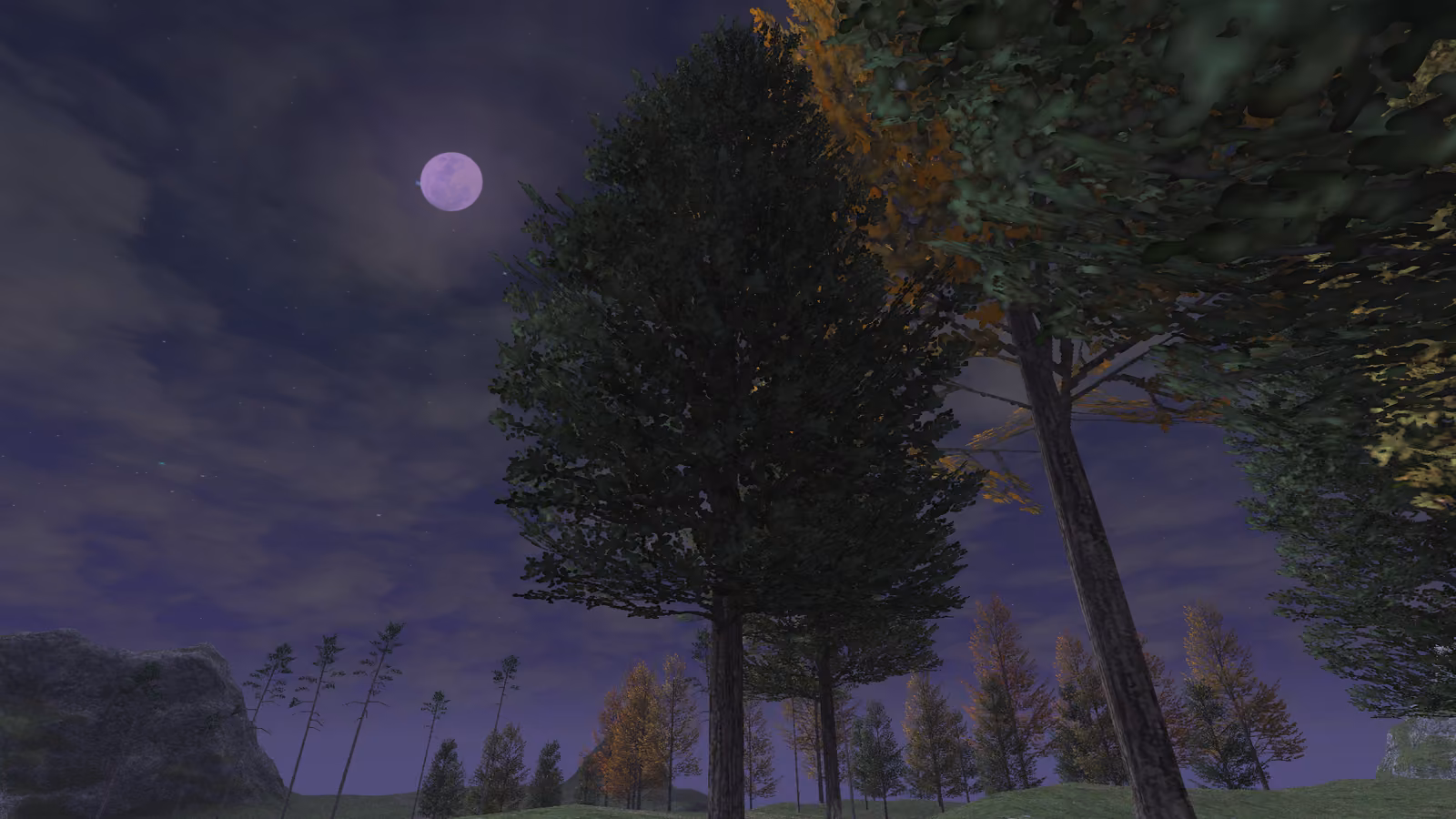 Purple Moon Tree
